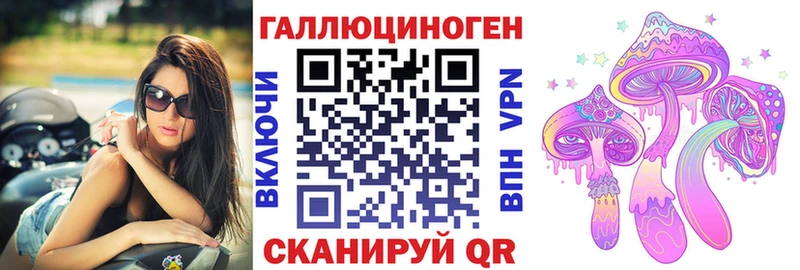 купить  цена  Никольск  Псилоцибиновые грибы Psilocybine cubensis 
