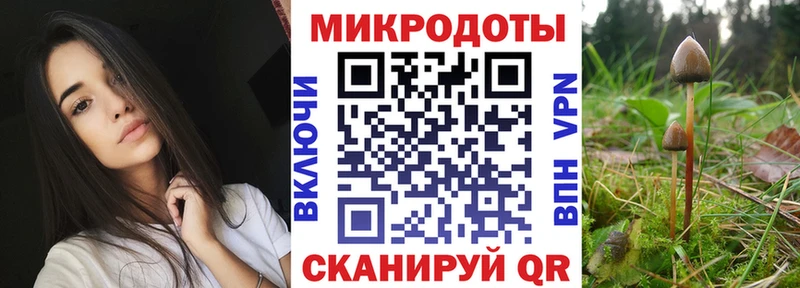 Галлюциногенные грибы мицелий Никольск