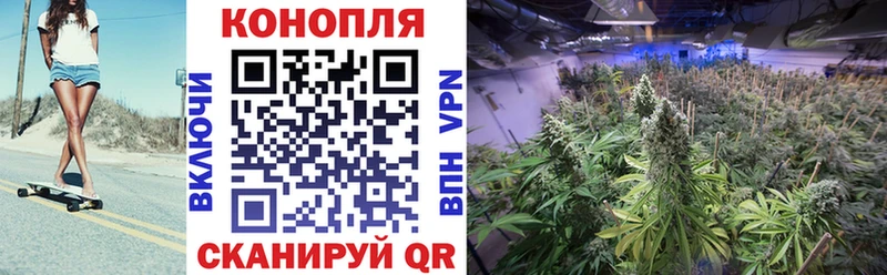 kraken вход  Никольск  Марихуана конопля 